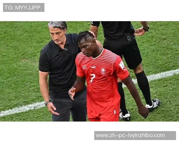 白俄罗斯与瑞士精彩对决分析及比赛前瞻展望